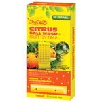 The Buzz Citrus Gall Wasp And Fruit Fly Trap