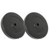 vidaXL 2x Weight Plates 30 kg Cement Dumbbell Barbell Plate Fitness Training