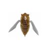 Megabass Siglett 36mm Cicada Topwater Surface Fishing Lure FF Phantom