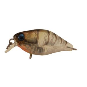 Jackall Chubby 38 Shallow Hard Body Fishing Lure Ghost Shrimp