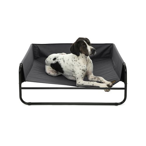 Charlie s High Walled Outdoor Trampoline Dog Bed Black Small Bunnings Australia