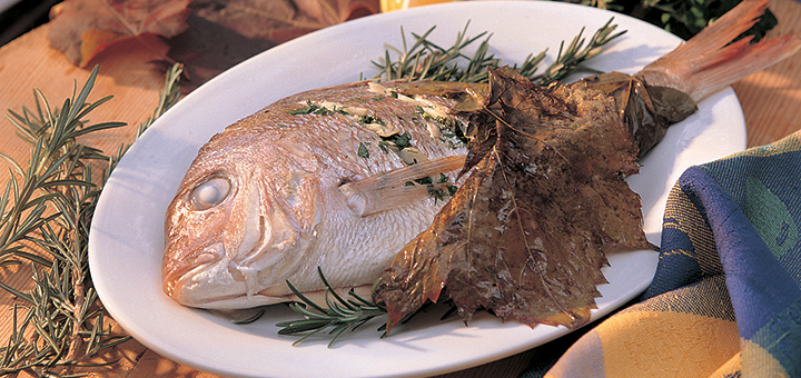 Matador Recipes 