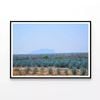 Green Plants with a Mountain   Print 100% Australian Made 90x60cm  (Poster)