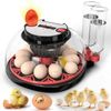 Advwin 12 Eggs Automatic Incubator with Egg Candler