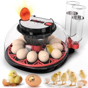 Advwin 12 Eggs Automatic Incubator with Egg Candler