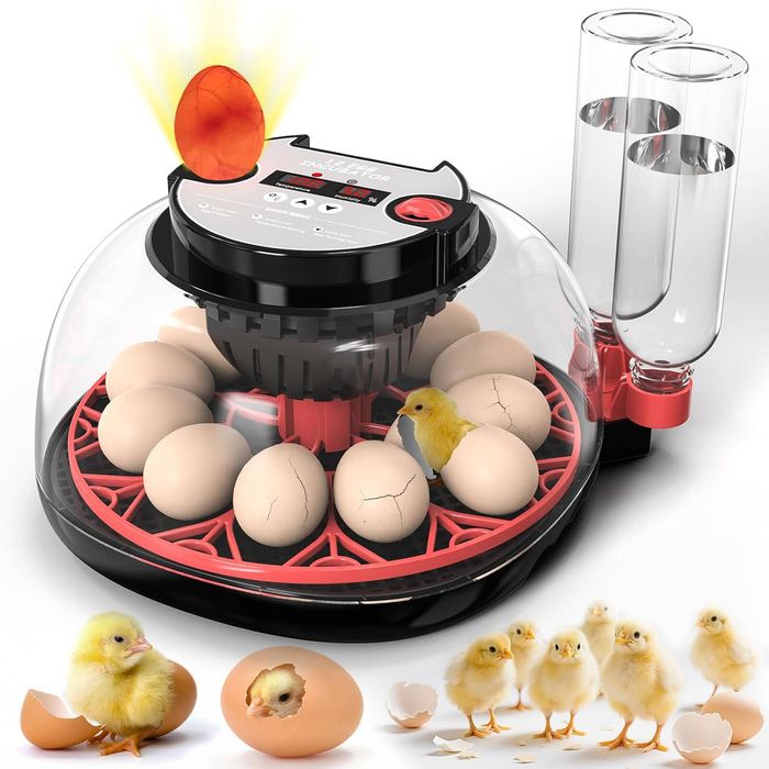 Advwin 12 Eggs Automatic Incubator with Egg Candler