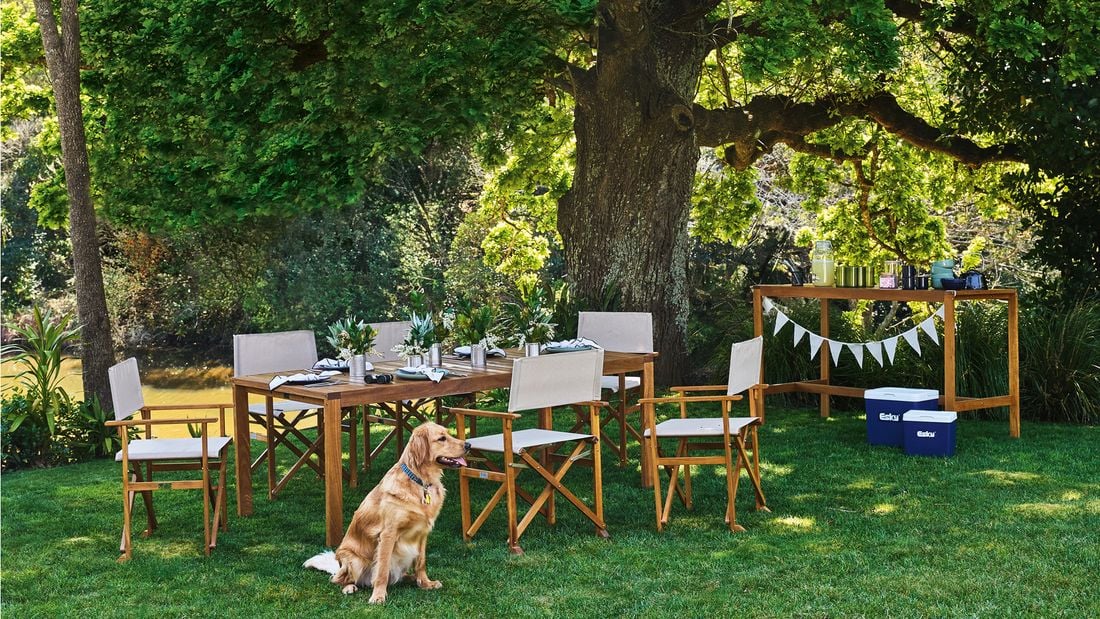 park land with large willow tree, with dining table and chairs.