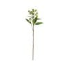 70cm Young Gumnut Native Artificial Flower