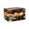 Lytworx 200 Warm White Solar Blossom String Lights