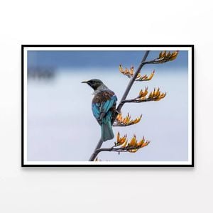 Bird On New Zealand Flax Tree  Print 100% Australian Made 120x90cm  (poster)