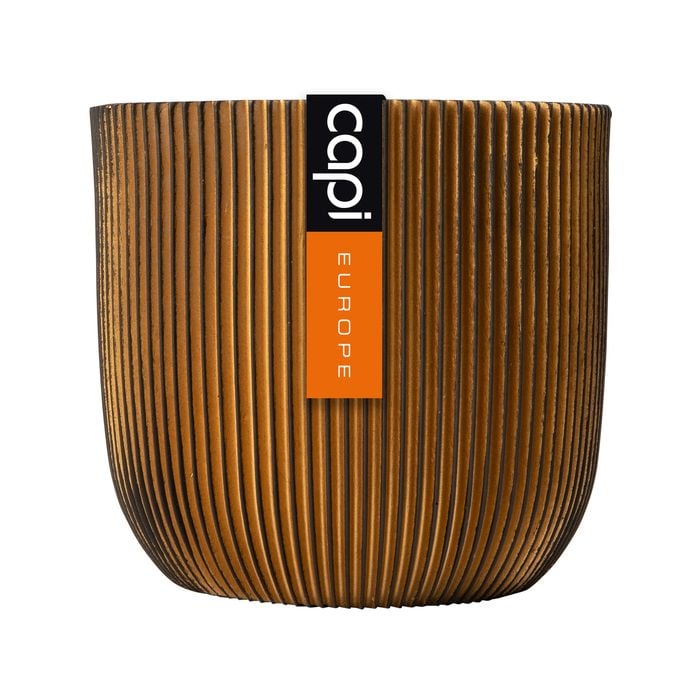 Capi 14 x 13cm Black & Gold Groove Indoor Plant Pot