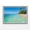 Beach & Palm Trees  Print 100% Australian Made 120x90cm  (Poster)