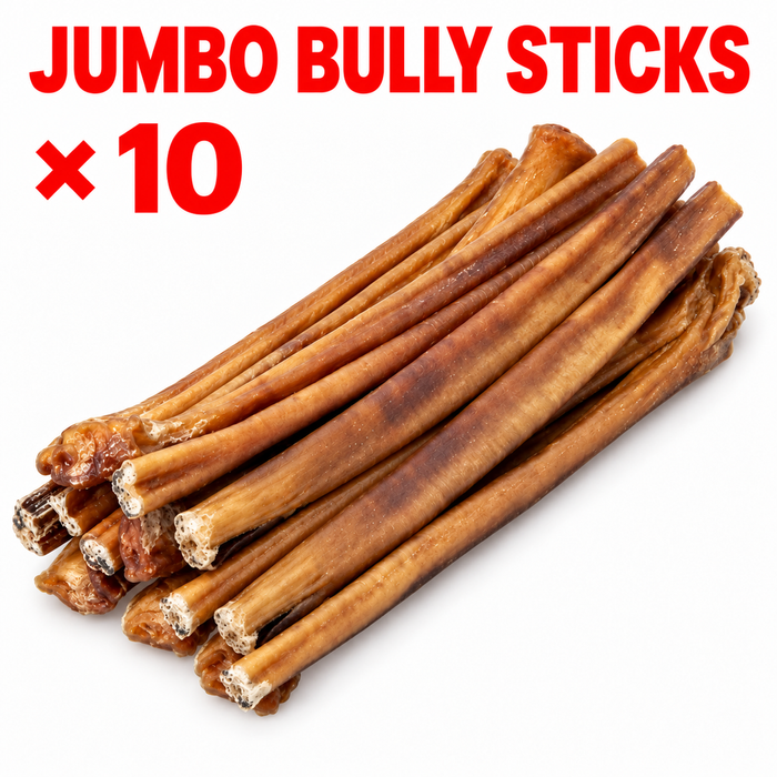 Blackdog Jumbo Bully Sticks 10 Pack | Extra Long Natural Dog Chews