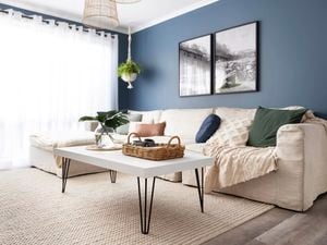 Living room with large couch, coffee table and indoor plants.