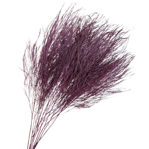 Blooms Of Joy 70cm Burgundy Tiki Fern Foliage