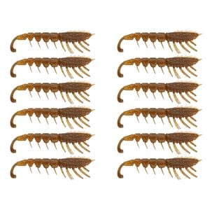 2x 6PK 3In Rapala Crush City The Imposter Plastic Prawn Lures - Bloodworm UV