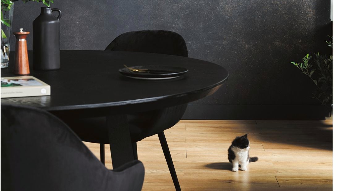 living room with black backdrop