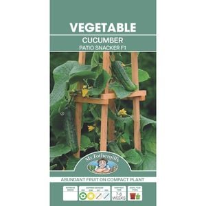Mr Fothergill's Cucumber Patio Snacker F1