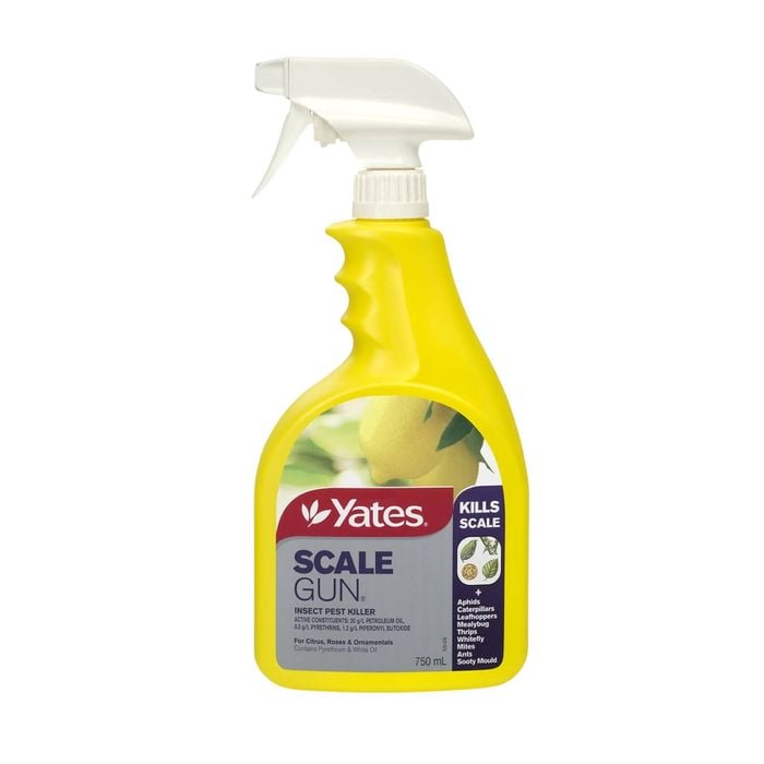 Yates 750ml Ready To Use Scale Gun Insect Pest Killer