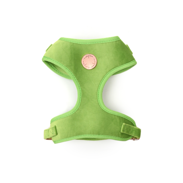 Holly & Co  Granny Smith Green Medium Green Stylish Velvet Dog Harness