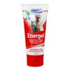 Vetsense Energel Vitamins & Minerals Supplement for Cats & Dogs 200g