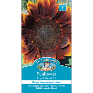 Mr Fothergill's Sunflower Royal Velvet Seeds