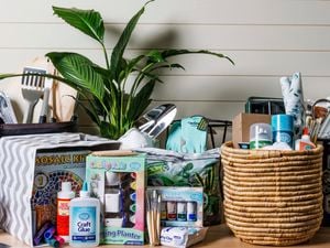 Selection of products including craft items, BBQ utensils, a plant and gardenting tools.