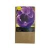 Yarra Valley Bulbs Anemone De Caen Blue - 20 Pack