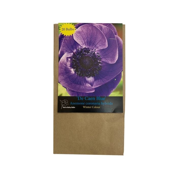 Yarra Valley Bulbs Anemone De Caen Blue - 20 Pack