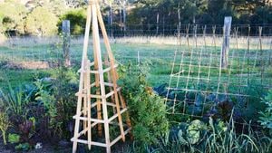 Garden obelisk in garden with vegetables