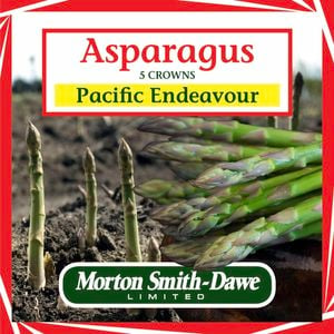 Morton Smith-Dawe 5 Crowns Asparagus Pacific Endeavour Seeds