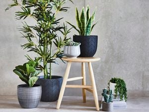 DIY Advice Image - Create an instant artificial garden. G Drive blob storage upload.