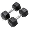 METEOR 10kg Pair Rubber Hex Dumbbells