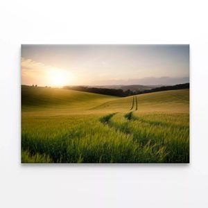 Grassy Field with a Sun, Sky  Print 100% Australian Made 75 x 50cm  (Stretched)