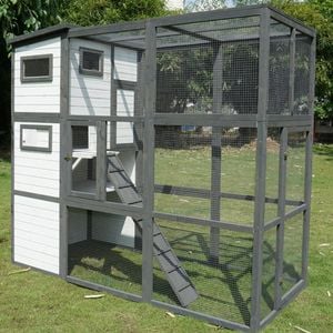 Hamilton Outdoor Cat Enclosure