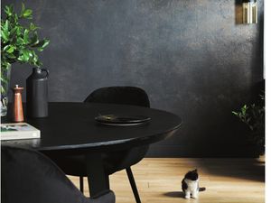 living room with black backdrop