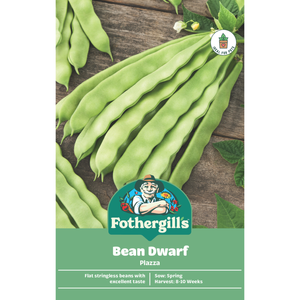 Fothergill's Dwarf Bean Plazza Seeds