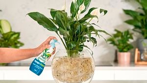 A hand pumps fertiliser into a water plant bowl