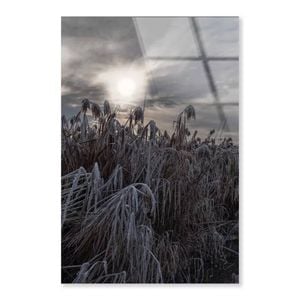 Winter Wonderland Lands  Print 100% Australian Made 60 x 90cm  (Acrylic)
