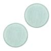 2x Cleanstar Post Motor Filter Pad Suits Models: DC07, DC14