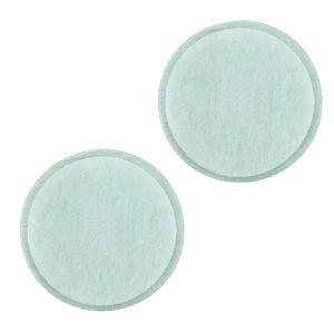 2x Cleanstar Post Motor Filter Pad Suits Models: DC07, DC14