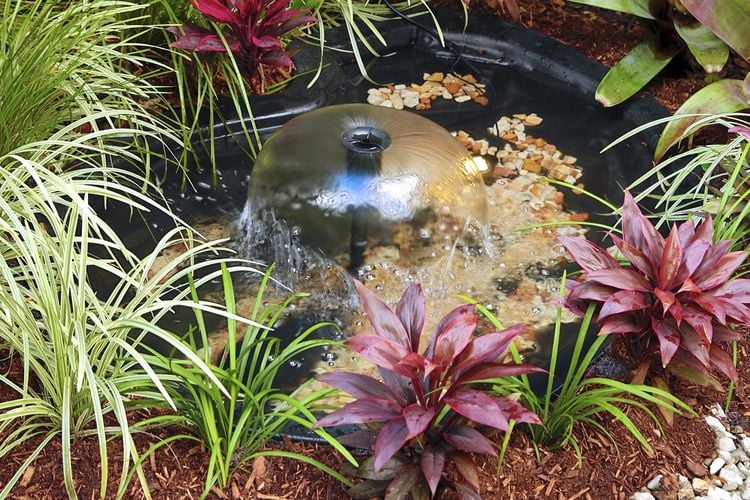 Water fountain in a fish pond