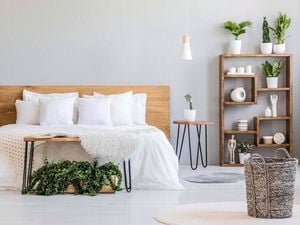 Bedroom with white bed linen, a bedside table and a shelf. There is a plant in the foreground