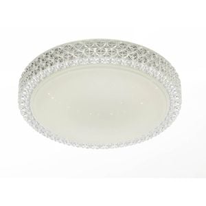 Telbix White/Clear Amelia 40 Led Oyster