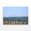 Field Of Plants with a Mountain  Print 100% Australian Made 75 x 50cm  (Stretched)