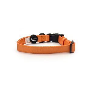 Holly & Co Blorange Extra Small Orange Stylish Dog Collar