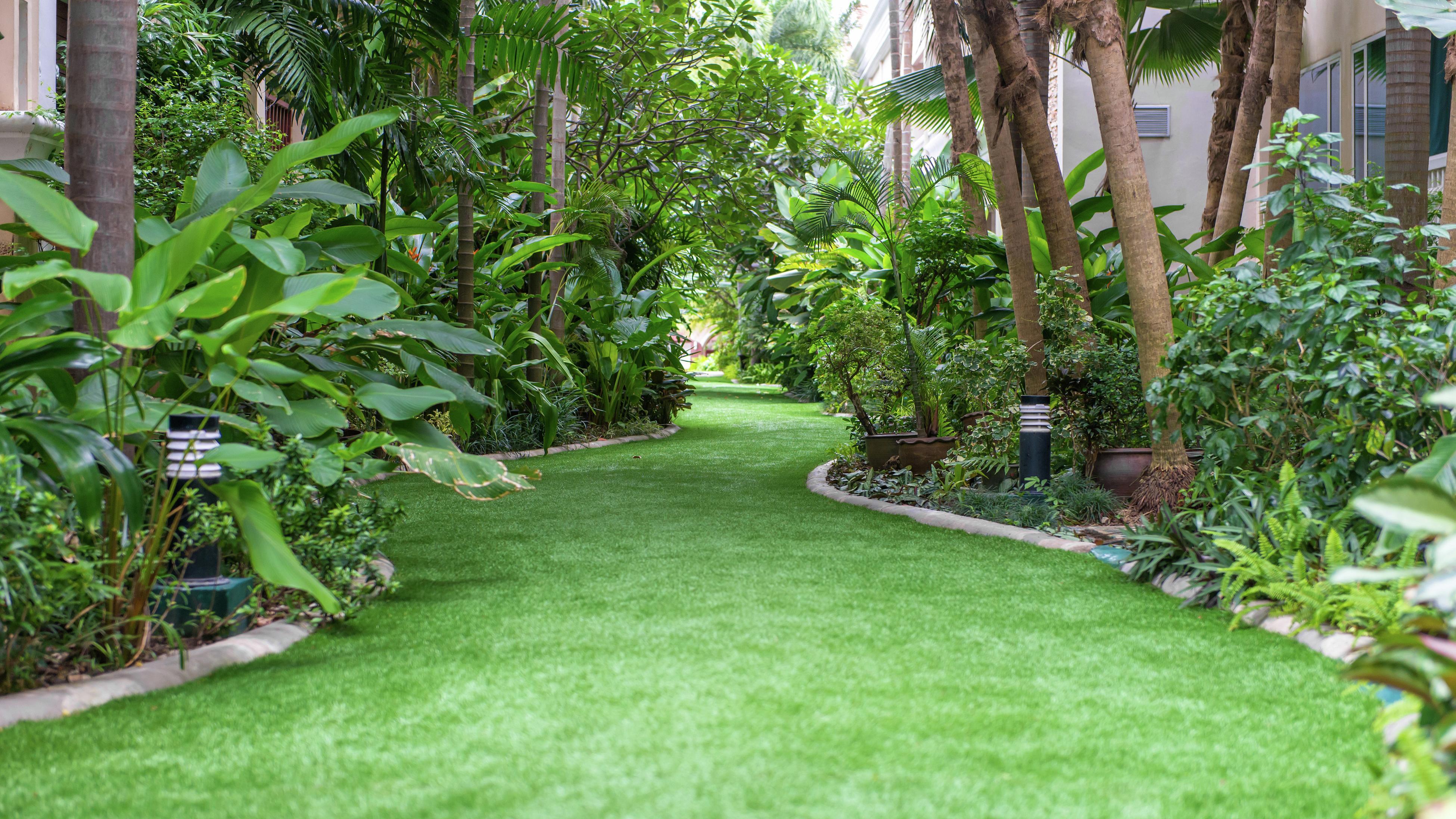 How To Choose The Right Lawn Seeds Bunnings Australia