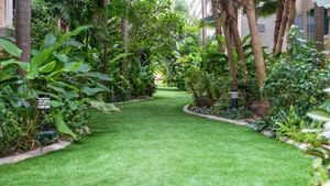 Green lawn pathway surrounded by trees and shrubs with curved edging