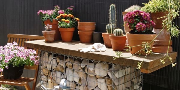 A completed gambion potting bench with trowel, stainless steel watering can and several potted succulents on top