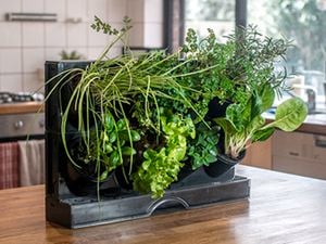 DIY - Extra 3 - How to add greenery to a rental